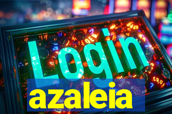 azaleia-br.com