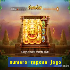 numero raposa jogo do bicho