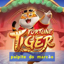 palpite do marcão jogo do bicho