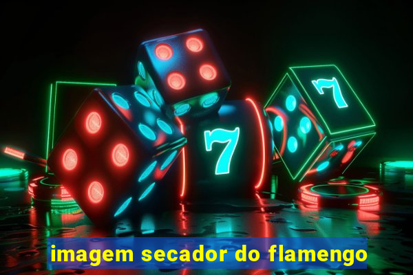 imagem secador do flamengo