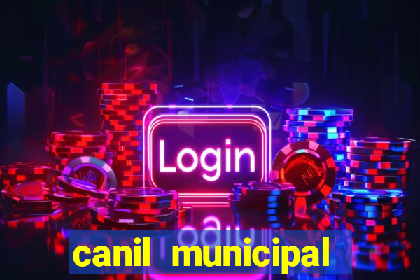 canil municipal porto alegre