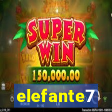 elefante7