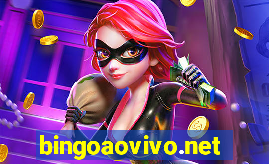 bingoaovivo.net